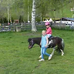 Der Schmittenhof Zell am See