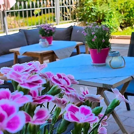 Hotel Der Schmittenhof 4*