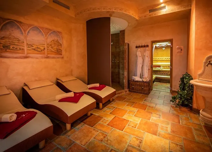 史密腾霍夫酒店 滨湖采尔