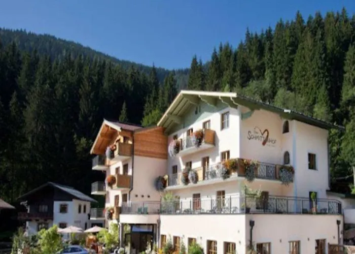 酒店 史密腾霍夫酒店