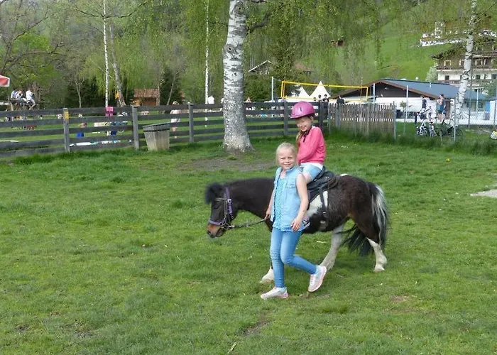 史密腾霍夫酒店 滨湖采尔