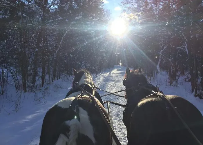 酒店 史密腾霍夫酒店 4*