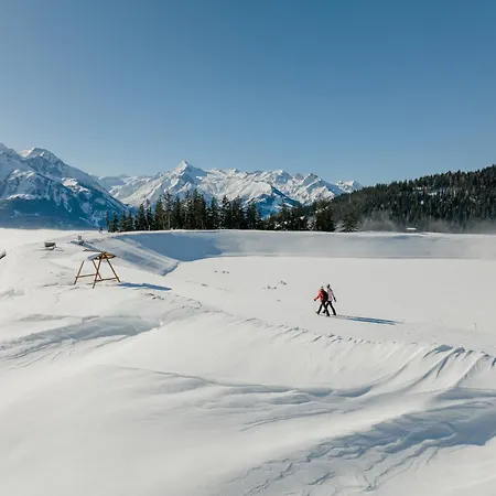 デア シュミッテンホフ 4*